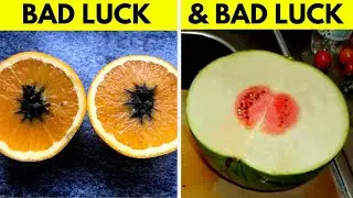 Times People Absolutely Lost The Food Jackpot | Happye Vines