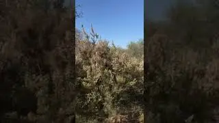 Petite Balade au c&oelig;ur des g&icirc;tes du Domaine Pedra Llampada au calme 4/7 entre mer et montagne