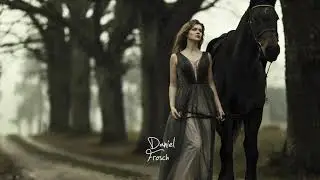 daniel frosch - new plan