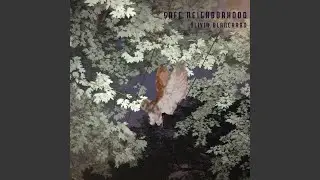 Safe Neighborhood (Unplugged)