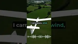 When the chillest aircraft meets the busiest in the sky 🌬️✈️ #SkyZenVsSkyZoo #GlideVibes
