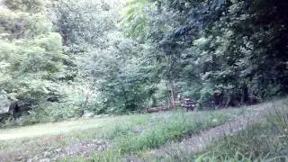 Wheelie bump