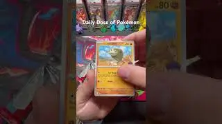 🌈 Daily Dose of Pok&eacute;mon - JOURNEY TOGETHER PACK OPENING &ndash; Hunting STARTER SIR GRAILS!💥✨