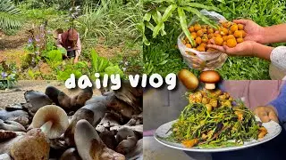 𐙚daily vlog | memanen bengkoang dan mencari jamur sawit 🥔🍄&zwj;🟫˚.🎀༘⋆ #dailyvlog #jamursawit #bengkoang 