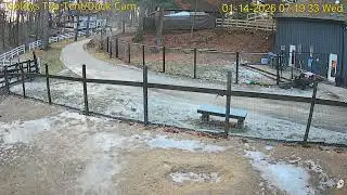 Goldy's Yard  720am Nick  Willow returns  to bld;Goaties paddock   1142026