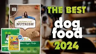 The Best Dry Dog Foods 2024 in 2024 - Must Watch Before Buying!