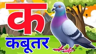 क से कबूतर,अ से अनार a se anaar k se kabutar | Hindi varnmala | ABCD क से कबूतर ka se kabutar |