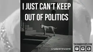 The Angry Cats - I Just Can't Keep Out Of Politics (Audio)