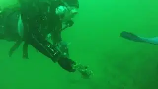 Asnelles-sur-Mer Calvados Normandie plongée épave Harpagas