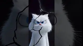 a 😍cute cat angry and break mobile screen and after happy #happy #viral #viralvideo #shorts