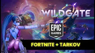 Is Wildgate a good multiplayer game?