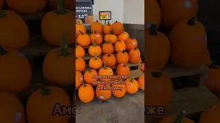 Spooky atmosphere in the USA 🎃 #america #halloween