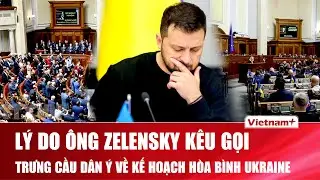 Bất ngờ lý do ông Zelensky kêu gọi trưng cầu dân ý về kế hoạch hòa bình để kết thúc xung đột với Nga