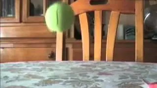 Experimento casero para disminuir la entropa