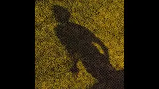 Lico! - Anormal