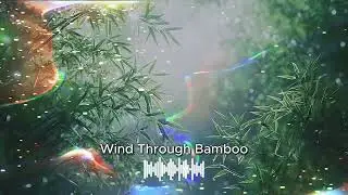 Wind Through Bamboo