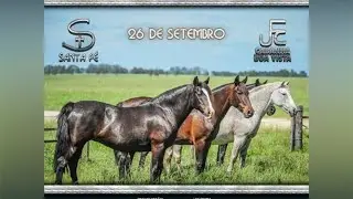 Leilão Boa Vista e Santa Fé