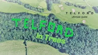 Telford Ultimate Guide Specials - The Telford Tree Sculpture