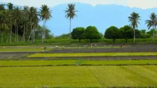 DANNY PALABAY - ANAK TI MANNALON