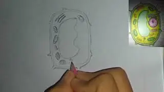 My first art 🎨  nucleus নিউক্লিয়াস,