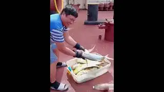 Saya Nila Mga Pinoy Seaman,Dami Nila Nahuli Sa Kawil Na Isda! Sarap isigang Sariawang Sariwa!