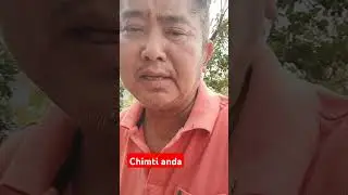 Fishing with red ant egg, lal chimti anda.