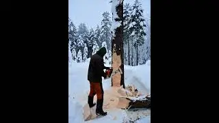 #timber #outdoors #handmade #shorts #nature #forestry #woodworking #logging #work #chainsaw #craft