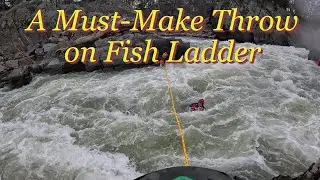 A Must-Make Throw, Rescue on Fish Ladder, 4.15, 2024-03-28