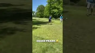 Pranked their friend with a fake snake 🐍