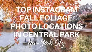 Top Instagram Photo Locations for Fall Foliage in Central Park, Manhattan, New York City