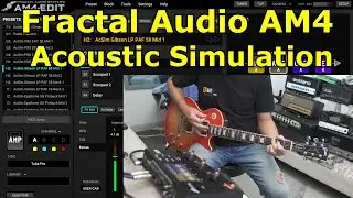 AM4 Acoustic Simulation presets