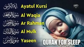 Tranquil Quran Recitation | Fatiha, Ayatul Al Kursi, Rahman, Mulk, Yasin, Waqiah