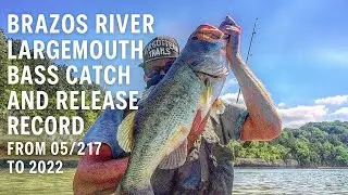 Brazos River Largemouth Bass Catch And Release Record From 05/2017 to 2022