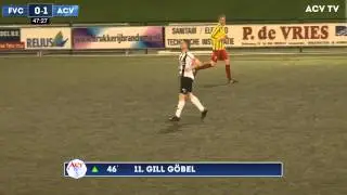 Samenvatting FVC-ACV