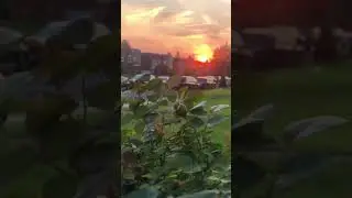 Stunning sunset /relaxing #sunset #reels #relax #beautiful
