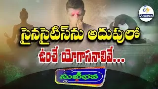 సైనసైటిస్ ను అదుపు చేసే యోగాసనాలివే | Control Sinusitis with Yoga | Sukhibhava | ETV Telangana
