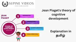 Jean Piaget's theory of cognitive development - Explanation in Tamil | Supine Videos