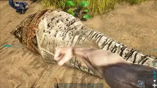 4K UltraHD Ark: Survival Evolved on Highest Settings (1080 TI)