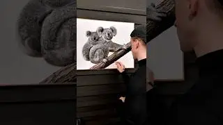 Drawing &lsquo;Hitchhiker&rsquo; - Double Koala Portrait #art #drawing #koala