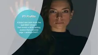 P1 Profits Demo - Danny Trinh - P1 Profits Review - Case Study - Danny Trinh | Danny Trinh