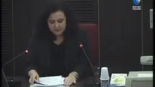 Bosanska Mafija - Zijad Turkovic / Svedok Sofija Milovanovic (1.deo)