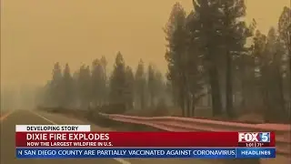 Dixie Fire Becomes Largest Wildfire In US