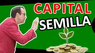 💰👍 Qué es el CAPITAL SEMILLA, como se consigue?, financiación para Autónomos, PYMES y Emprendedores
