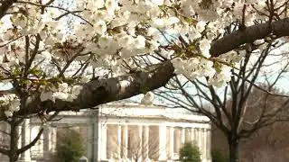Early Spring at Arlington National Cemetery