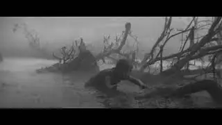 LARDOON - Radiant pass