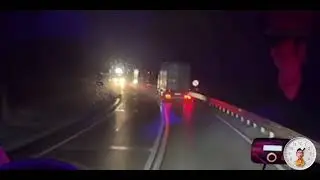 Olha o que esse urso fez no meio da estrada 😱🫣🫵 travesti com os filhotes