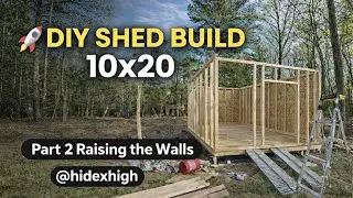 DIY 10x20 Shed Build Solo - Part 2: Raising the walls for the shed!