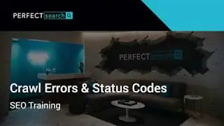 Crawl Errors & Status Codes | Perfect Search Media