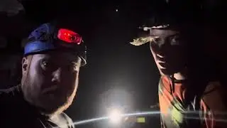 O mist&eacute;rio do porco voador em uma caverna
