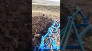 Yazdan kalan ekin videosu #ekin #t&uuml;mosan8075 #kars36 #akmazdamk&ouml;y&uuml; #t&uuml;mosan #keşfetbeni&ouml;ne&ccedil;ıkar